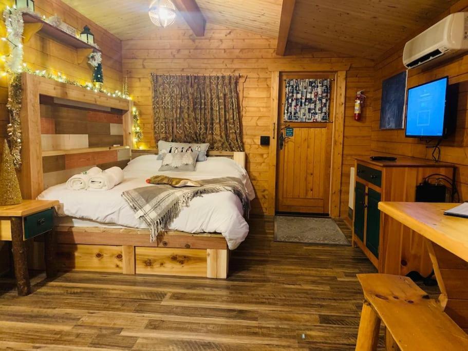 Fancy Fireflies Cabin Хейуърд Екстериор снимка